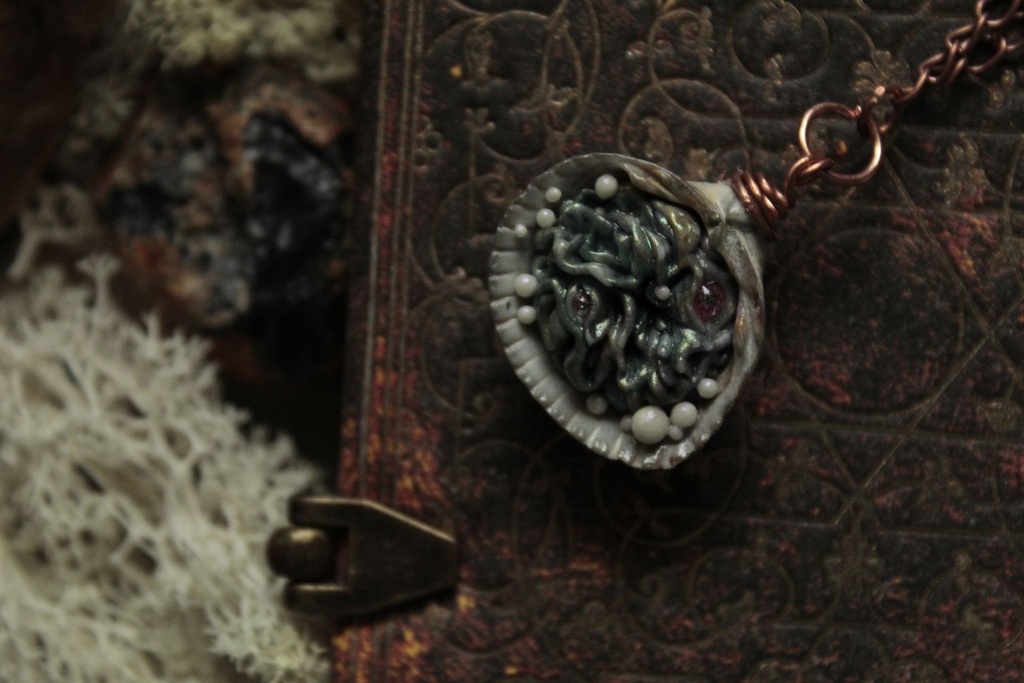 Coquillage Métamorphe- n°4