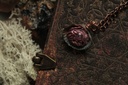 Coquillage Métamorphe- n°7