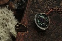 Coquillage Métamorphe- n°9