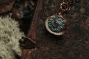 Coquillage Métamorphe- n°11