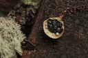 Coquillage Métamorphe- n°13