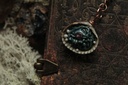 Coquillage Métamorphe- n°17