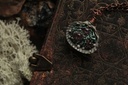 Coquillage Métamorphe- n°18