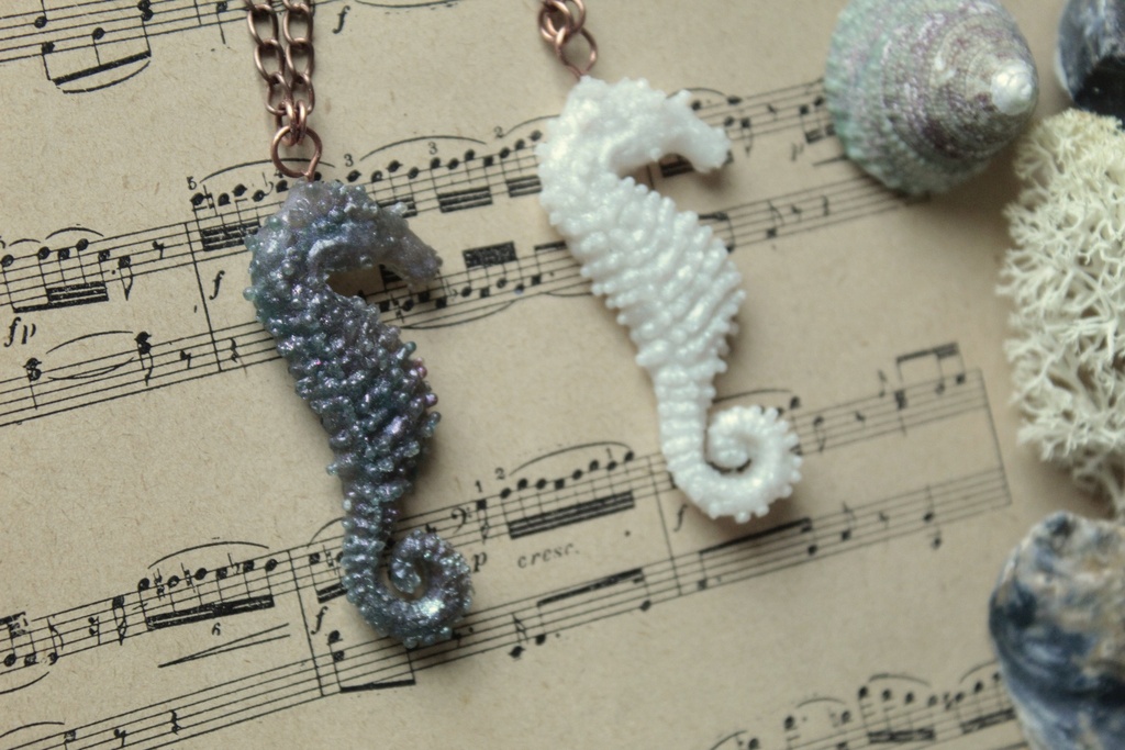 hippocampe