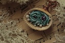 Coquillage Métamorphe- n°6